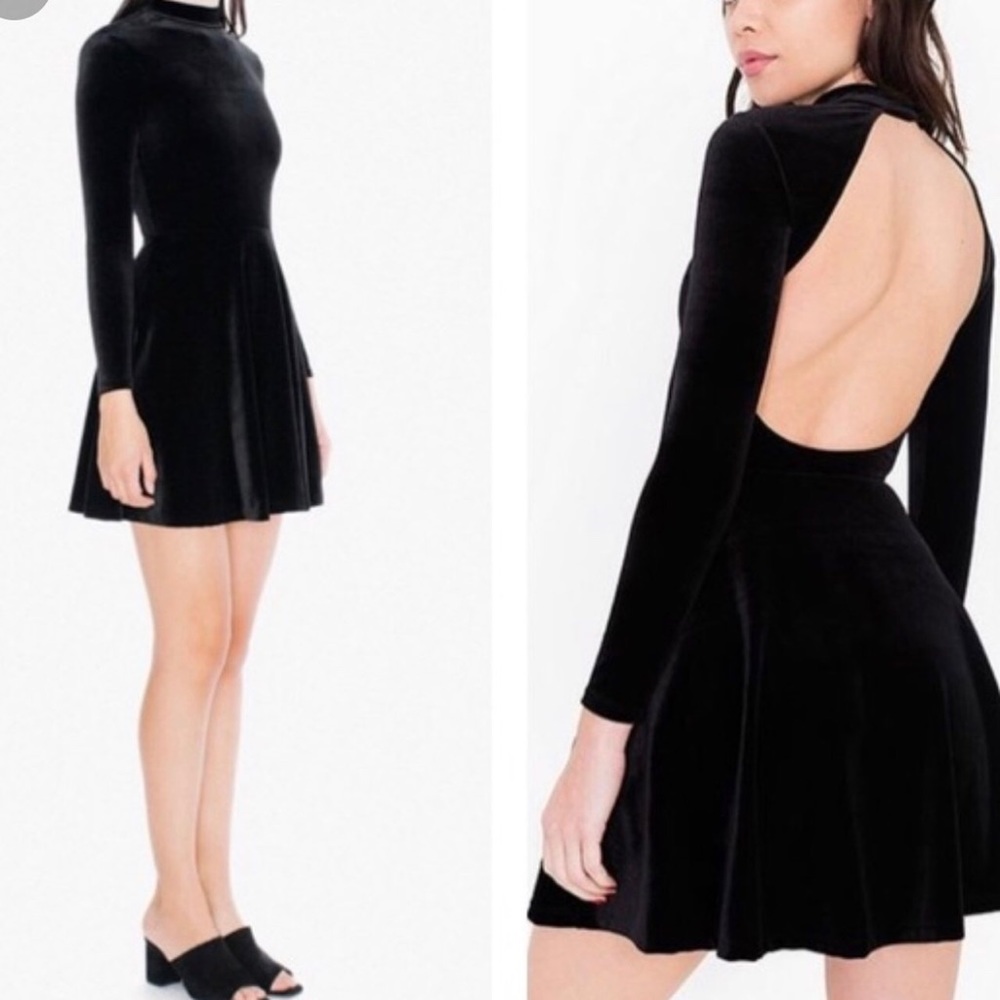 American Apparel Violette Skater Dress
